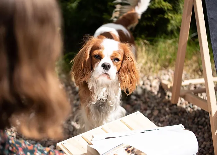 Lägenhetshotell Wind Rose Luxury & Spa- With Private Sauna, Gym, Jacuzzi Gdańsk